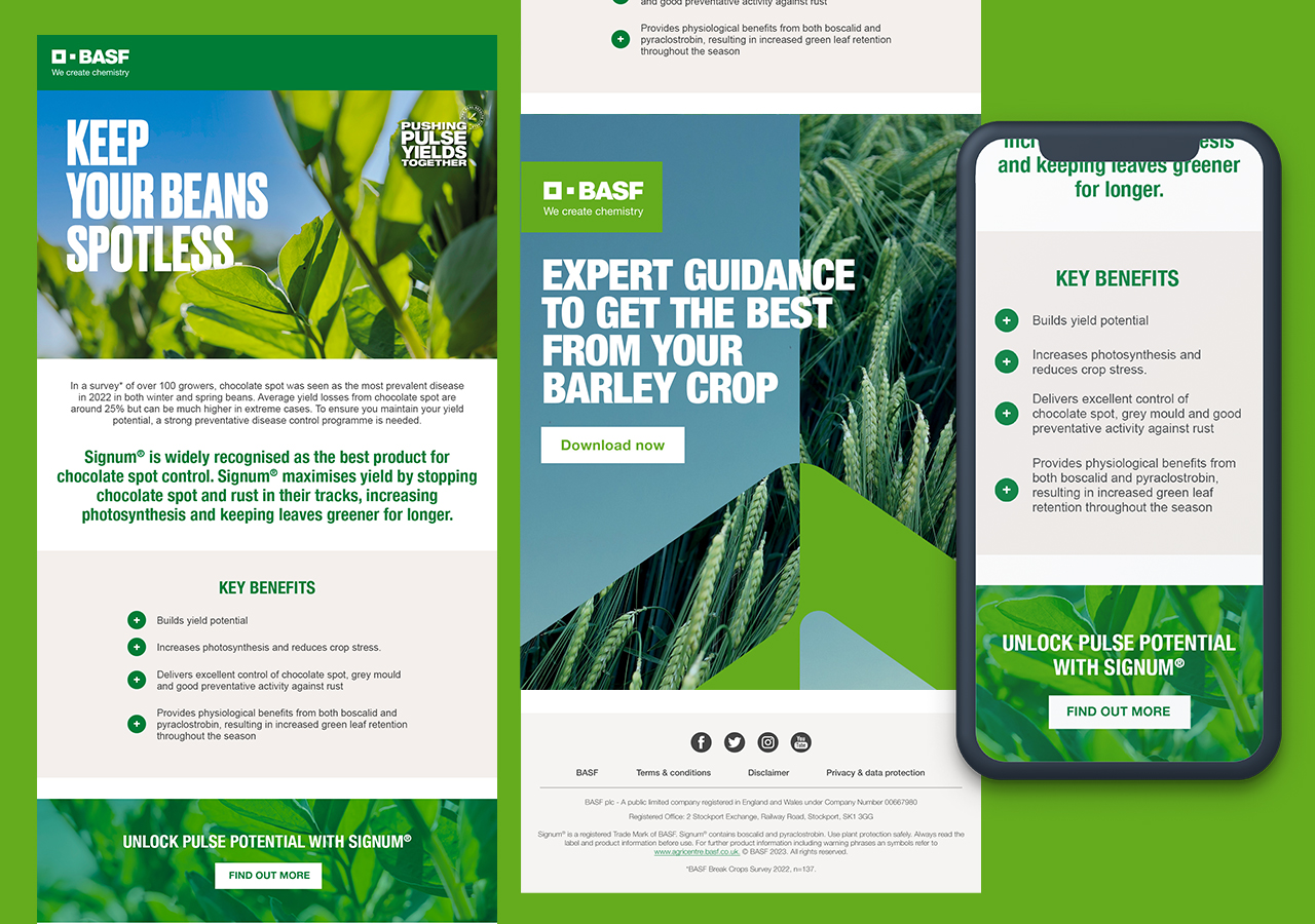 Basf Design Guide BASF – Nicola Thomas – Design Portfolio